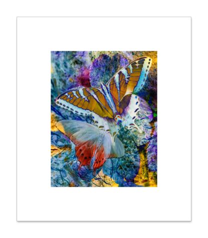 Scholarship Print: Shelley Vandegrift, Chroma